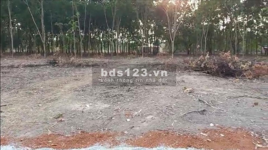 Bán gấp đất nền khu công nghiệp Đồng Xoài Bình Phước