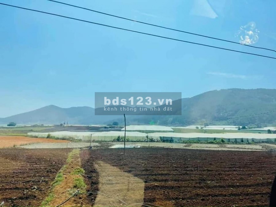 Đất đầu tư để xây dựng Homestay Lâm Đồng chỉ hơn 400triệu