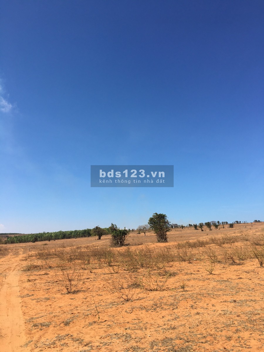 Bán 14,030m2 đất nông nghiệp hoà thắng view biển cách biển 2km chỉ 250k/m2, ngay khu du lịch Lh 0938677909 Hiền xem sổ