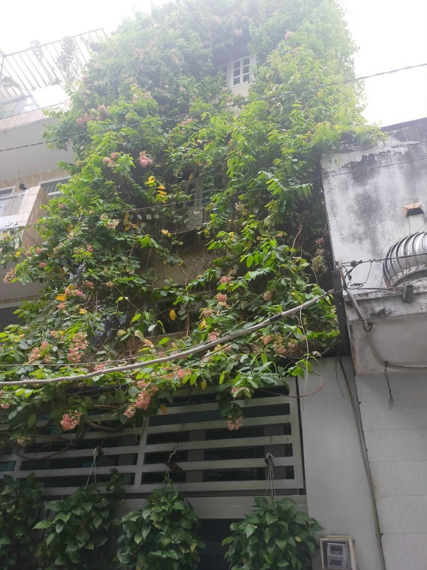 Nhà HXH đường Trần Bình Trọng, P.5, Bình Thạnh, ngang 4,5m, 5 tầng, DT sàn 140m, giá 4,65 tỷ.