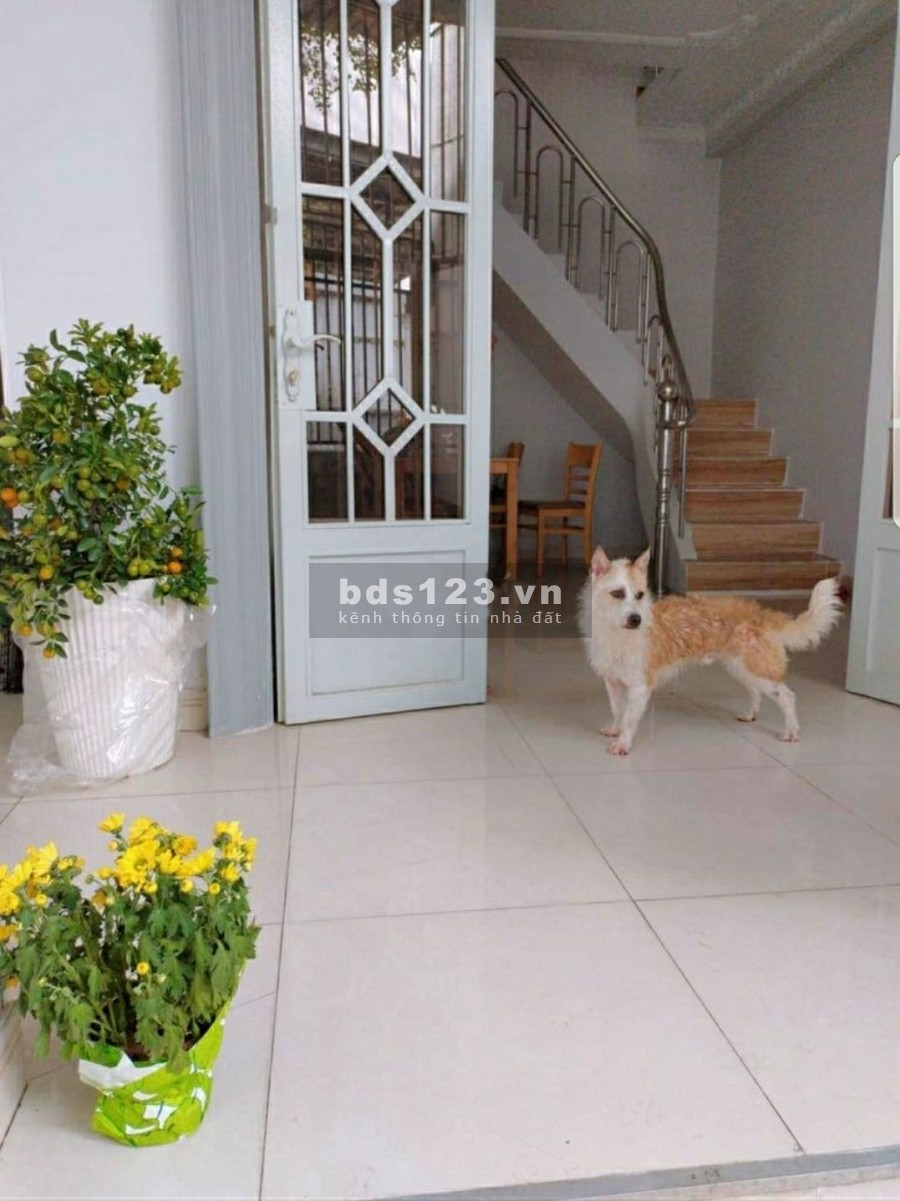 Cho thuê nhà 1 trệt + 1 lầu 3 PN khu Trần Trọng Cung giá 11 triệu