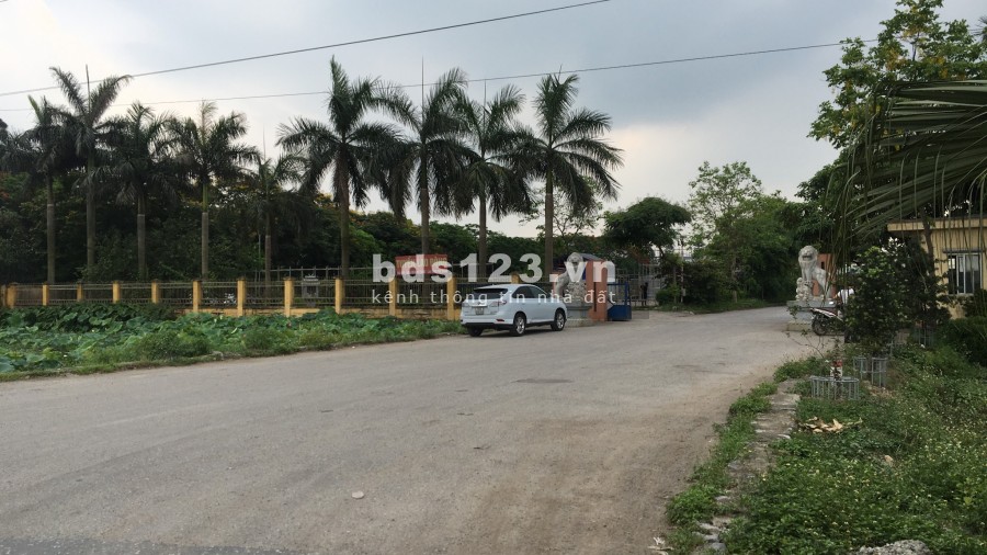 Cho thuê mặt bằng có diện tích 5000m2, hoặc dựng nhà xưởng sản xuất, giao thông thuận lợi, mặt bằng đẹp