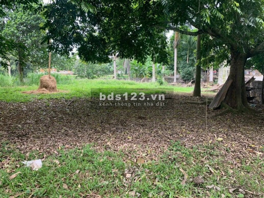 BÁN ĐẤT ĐÔNG XUÂN NGOÀI QUY HOẠCH - 1440m View CÁNH ĐỒNG, CÁCH ĐƯỜNG NHỰA 30M, GIÁ HƠN 2 TRIỆU