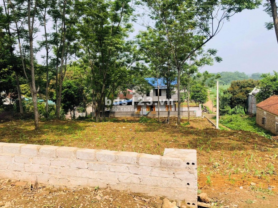 BÁN ĐẤT LÔ GÓC ĐẬP MIỄU NAM PHƯƠNG TIẾN CHƯƠNG MỸ GIÁ LỢN CHẾT CHỈ 2,7TR/M2, XUNG QUANH ĐANG BÁN 3TR