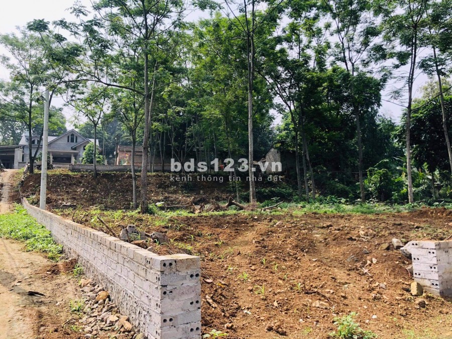 BÁN ĐẤT LÔ GÓC ĐẬP MIỄU NAM PHƯƠNG TIẾN CHƯƠNG MỸ GIÁ LỢN CHẾT CHỈ 2,7TR/M2, XUNG QUANH ĐANG BÁN 3TR