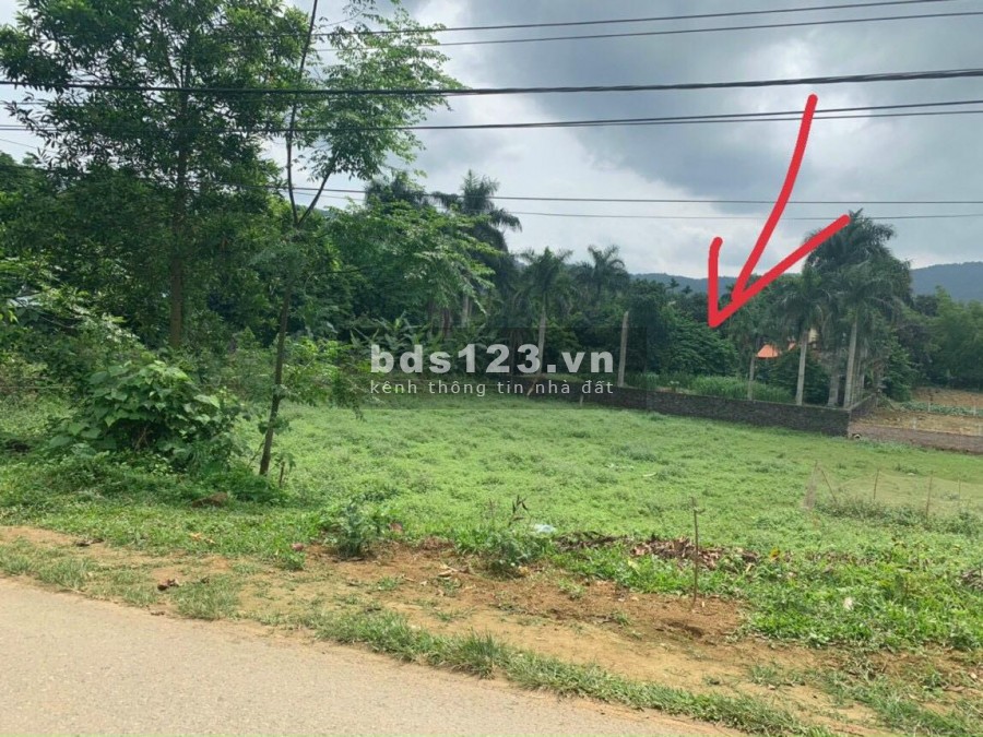 BÁN ĐẤT ĐÔNG XUÂN NGOÀI QUY HOẠCH - 1440m View CÁNH ĐỒNG, CÁCH ĐƯỜNG NHỰA 30M, GIÁ HƠN 2 TRIỆU