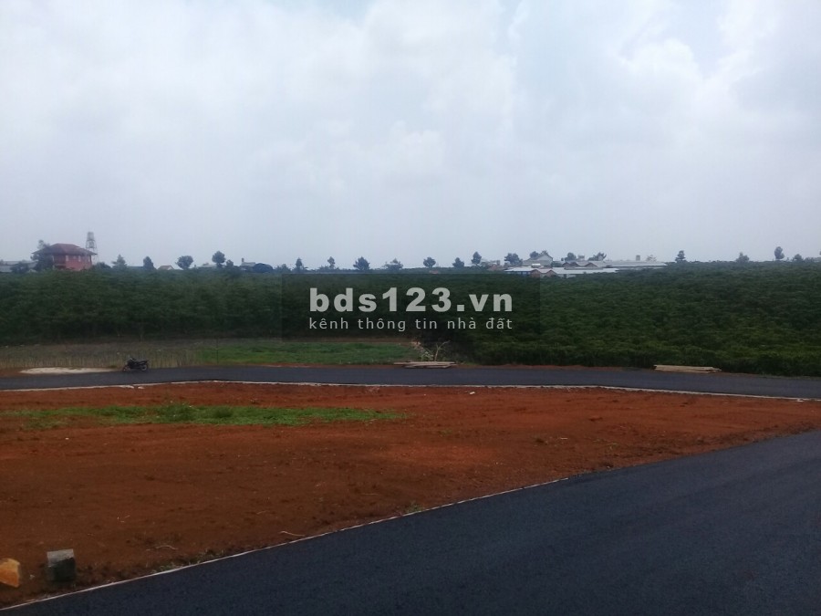 Thu hồi vốn gấp bán sỉ 10 lô đất mặt tiền Nguyễn Văn Cừ chỉ 450tr/120m2, thổ cư 100%