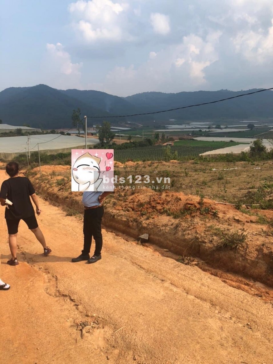 ĐẤT XÂY HOMESTAY NGHĨ DƯỠNG, ĐƠN DƯƠNG, LÂM ĐỒNG