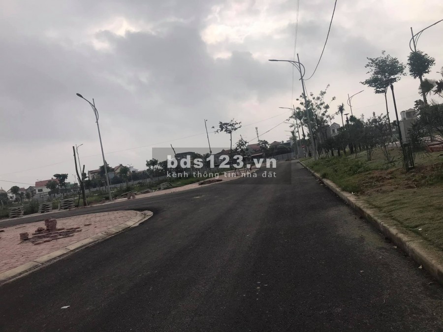 Bán biệt thự Tân Phú Hưng, TP Hải Dương, 250m2, mt 10m, đường 31m, giá cực tốt