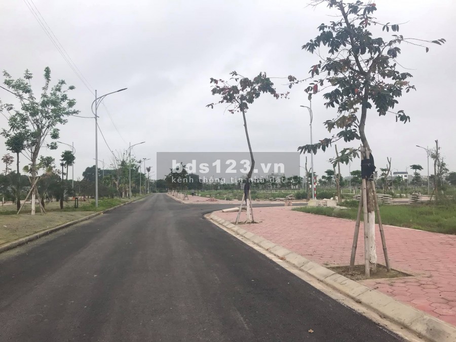 Bán biệt thự Tân Phú Hưng, TP Hải Dương, 250m2, mt 10m, đường 31m, giá cực tốt