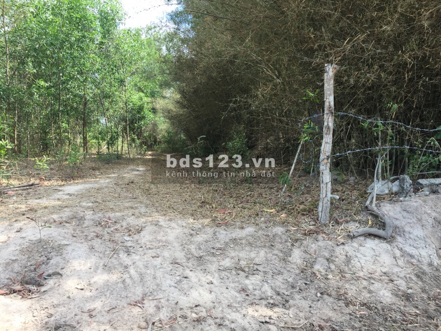 Cho thuê đất gần dự án Mega City 2, khu công nghiệp Nhơn Trạch 2 5400m2 3tr/tháng