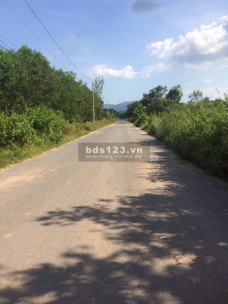 Bán đất 1000m2 Xuân Thành Xuân Lộc Đồng Nai