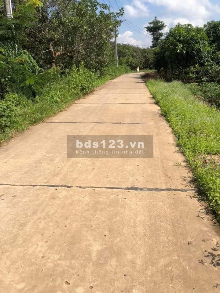 Bán đất 1000m2 Xuân Thành Xuân Lộc Đồng Nai