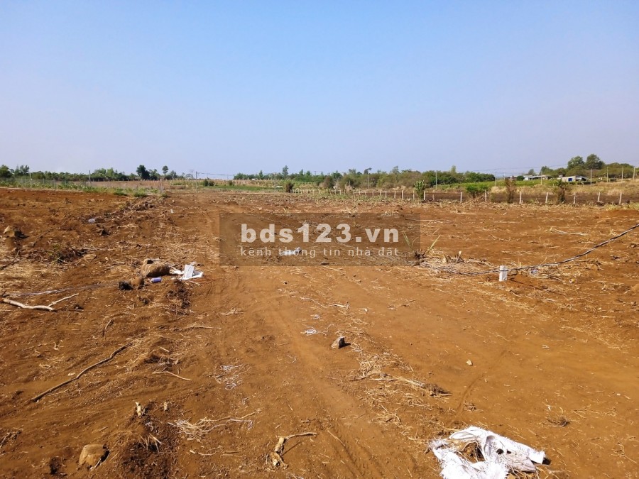 Cần tiền bán gấp miếng đất vườn 1200m2 huyện Trảng Bom