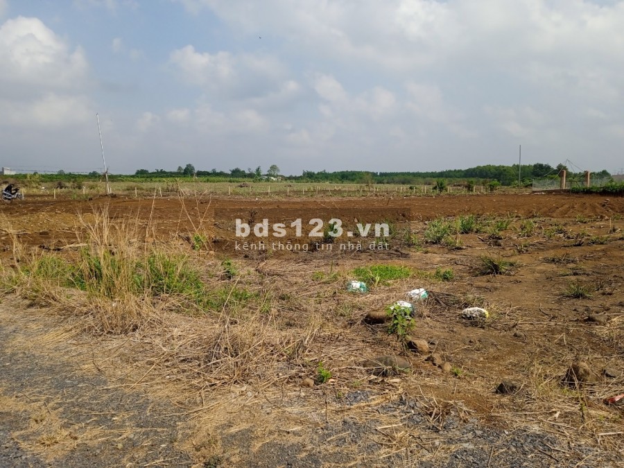 Cần tiền bán gấp miếng đất vườn 1200m2 huyện Trảng Bom