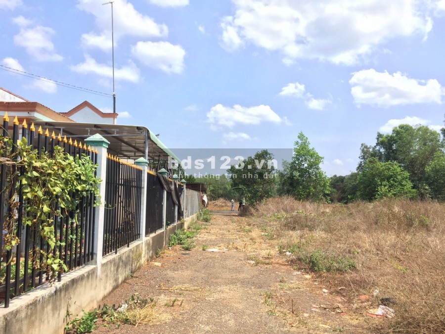 Đất ONT Long Thành, 1000m2, xây dựng ngay, không trung gian