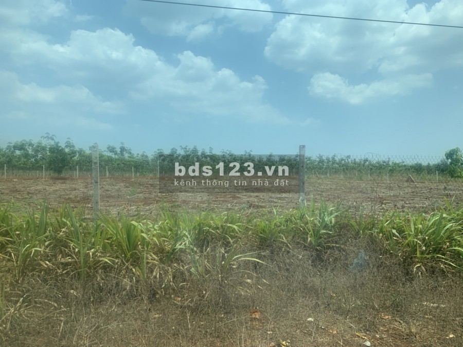 Đất ONT Long Thành, 1000m2, xây dựng ngay, không trung gian