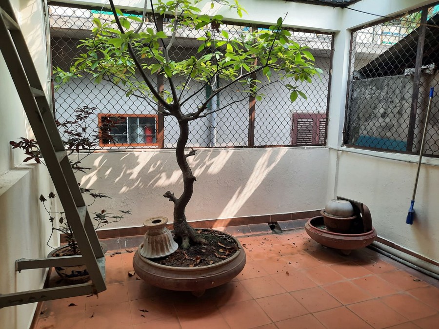 Bán nhà khu phân lô Quân Đội Vĩnh Phúc Ba Đình, ô tô tránh, DT 48m2, 4T, MT 3,6m, giá 7,3 tỷ.