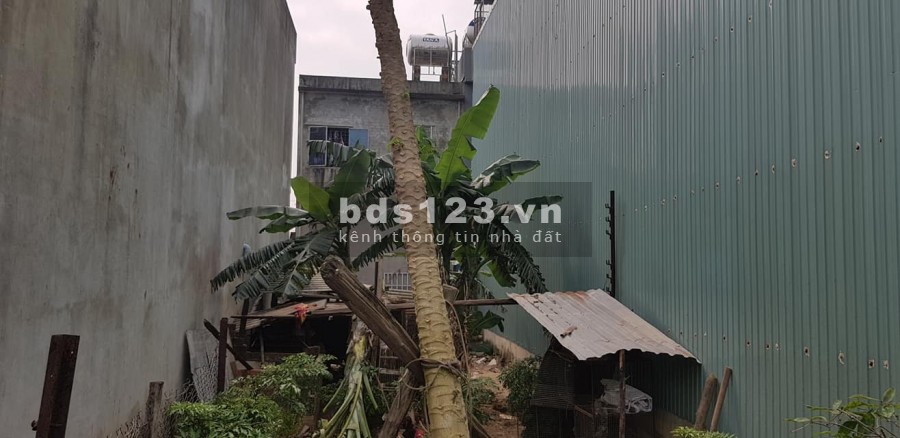 Bán đất Đường Vũ Lăng, Cẩm Lệ, TP Đà Nẵng