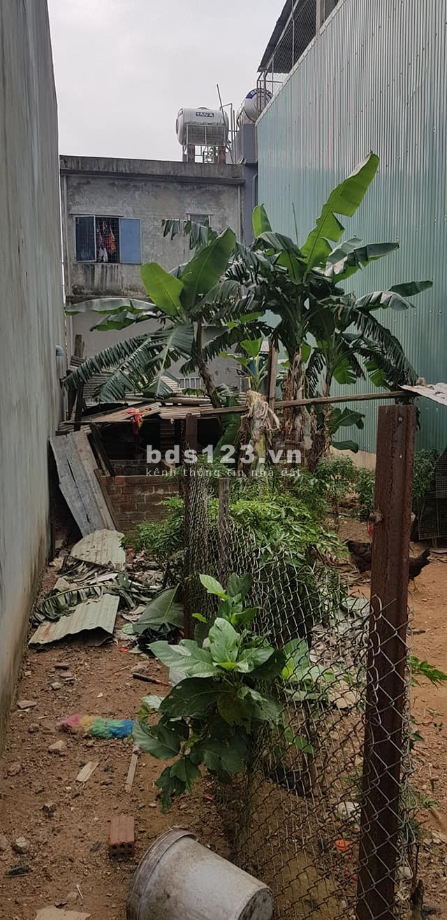 Bán đất Đường Vũ Lăng, Cẩm Lệ, TP Đà Nẵng