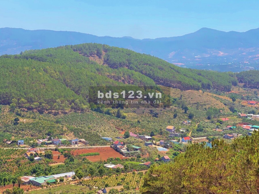 ĐẤT ĐẦU TƯ ĐỂ XÂY DỰNG HOMESTAY SAO MAI
