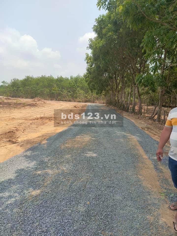 Chính chủ gửi bán lô đất 1000m2 ngay nhà máy găng tay Phước Bình, Giá F0 chưa qua tay ai.