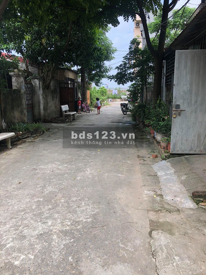 Bán đất Trâu Quỳ Viện rau B. Đường ô tô 61.6m
