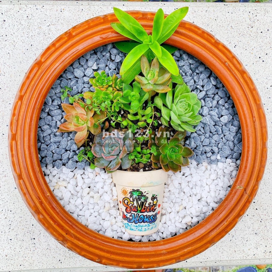 Căn góc VIP Đặng Văn Ngữ, 5.6 x 15, 6 tầng, bán nhanh 21 tỷ TL, 0932828672