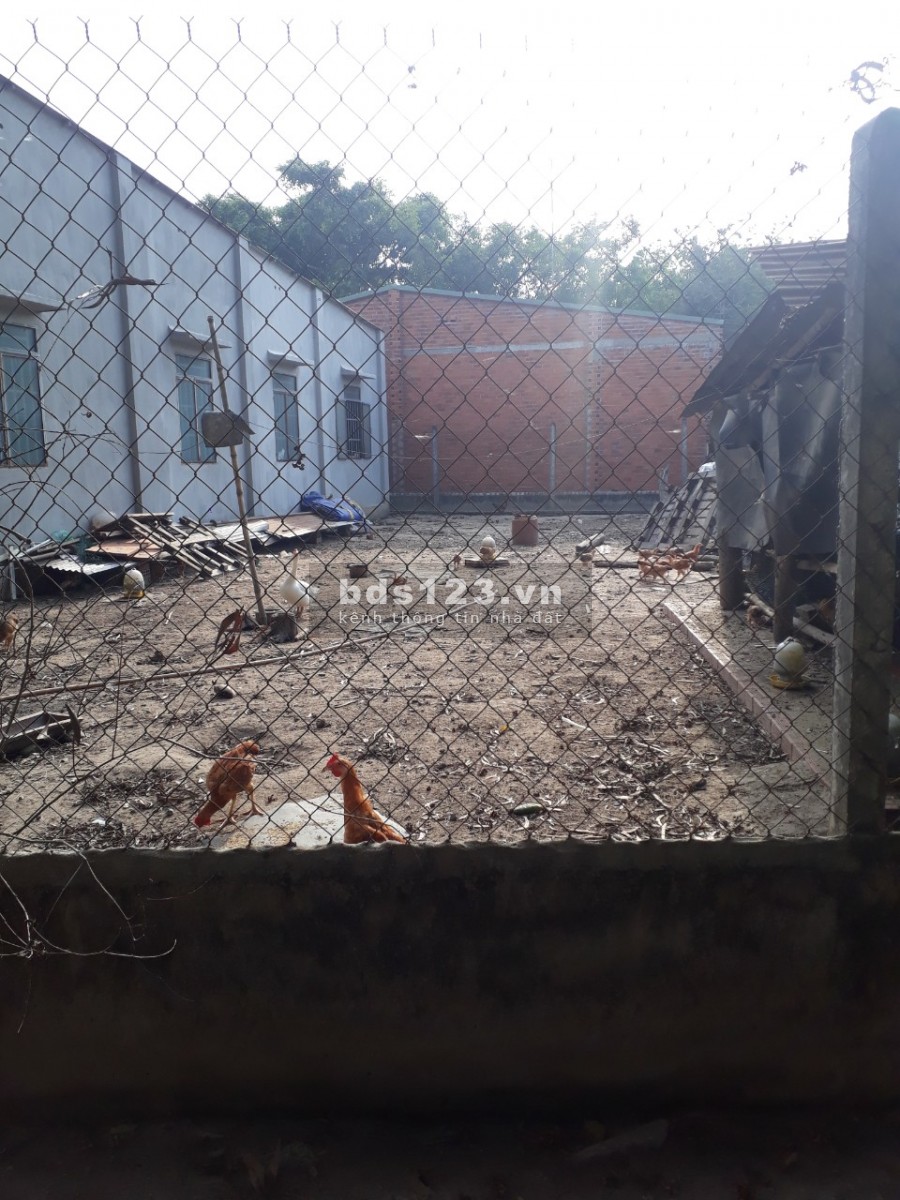 Đất Gần Quốc Lộ 22 KHu Dân Cư Đông Thổ Cư Full