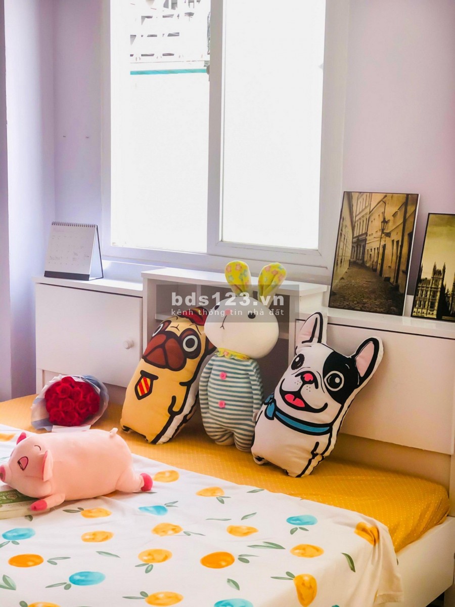 Chung cư mini cho thuê giá siêu rẻ ưu đãi siêu khủng tại trung tâm Quận Tân Bình