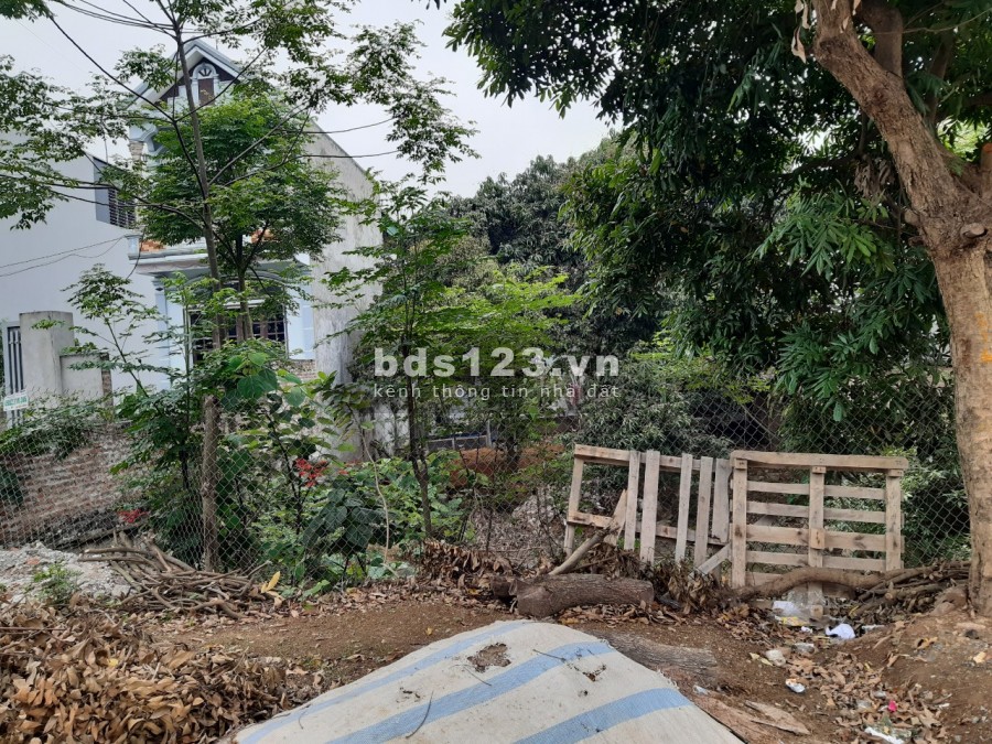 Chính chủ bán đất (Thôn Vỵ Thủy, Xã Thanh Mỹ, Thị xã Sơn Tây, Thành phố Hà Nội)