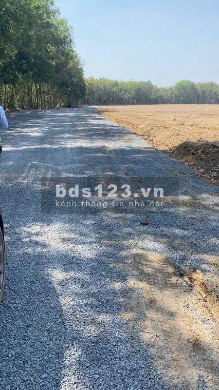 Tôi bán 1 sào đất mặt tiền đường nhựa Huyện Đồng Phú Tỉnh Bình phước