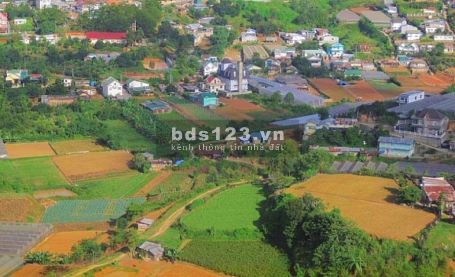 ĐẤT ĐẦU TƯ ĐỂ XÂY DỰNG HOMESTAY SAO MAI