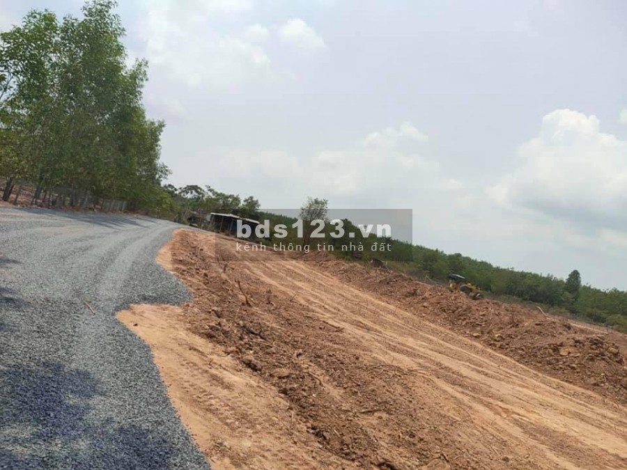 Chính chủ gửi bán lô đất 1000m2 ngay nhà máy găng tay Phước Bình, Giá F0 chưa qua tay ai.