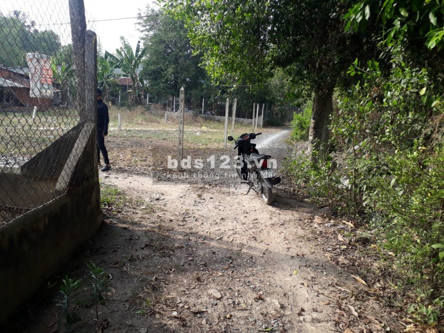 Đất Gần Quốc Lộ 22 KHu Dân Cư Đông Thổ Cư Full