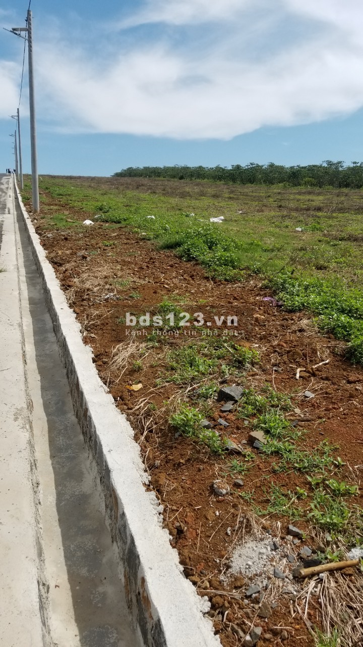 Ông cố nội để lại miếng đất 525m2 thổ cư ngay thành phố bảo lộc kẹt tiền bán 3.2tr/m2
