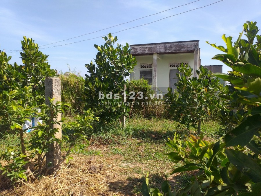 Cần bán 3.1 sào đất cln có sổ riêng