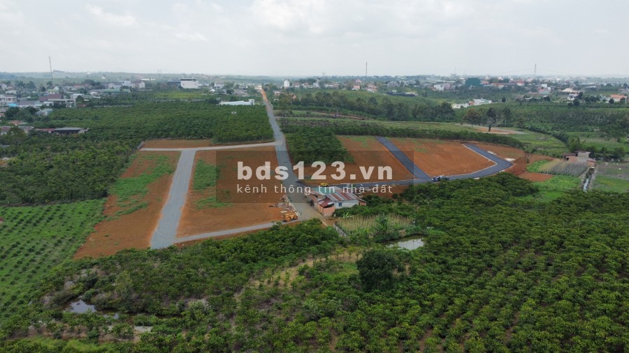 Ông cố nội để lại miếng đất 525m2 thổ cư ngay thành phố bảo lộc kẹt tiền bán 3.2tr/m2