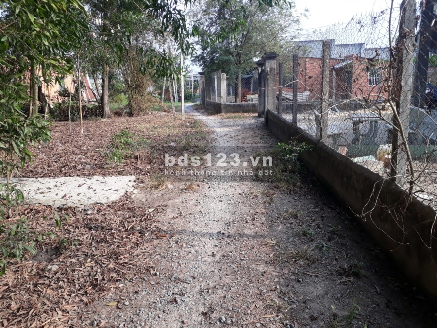 Đất Gần Quốc Lộ 22 KHu Dân Cư Đông Thổ Cư Full