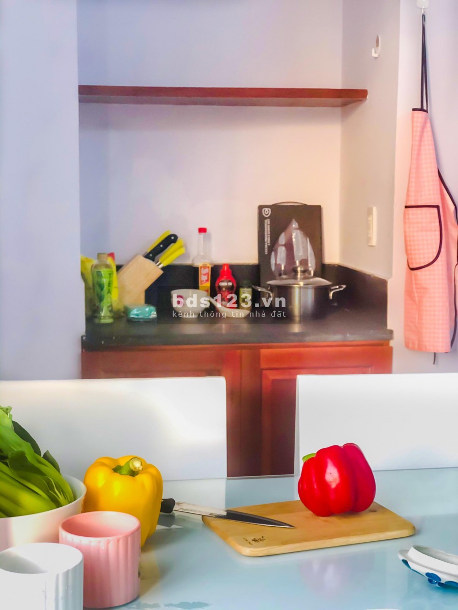 Chung cư mini cho thuê giá siêu rẻ ưu đãi siêu khủng tại trung tâm Quận Tân Bình