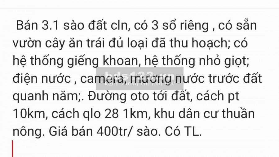 Cần bán 3.1 sào đất cln có sổ riêng