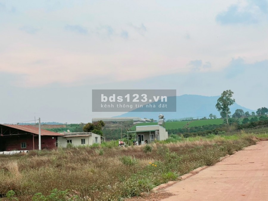 Bán đất thổ cư gía 520 triệu ven Novaworld Đạ Ròn- Lâm Đồng