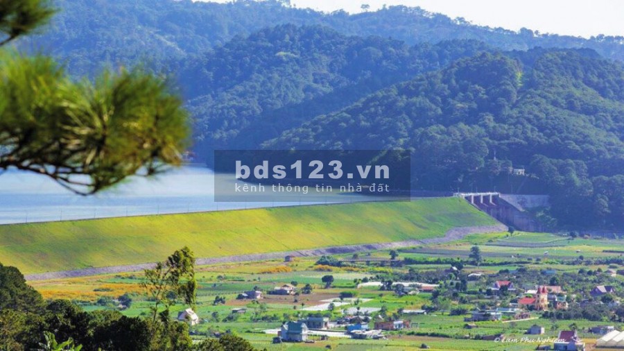 ĐẤT ĐẦU TƯ ĐỂ XÂY DỰNG HOMESTAY SAO MAI