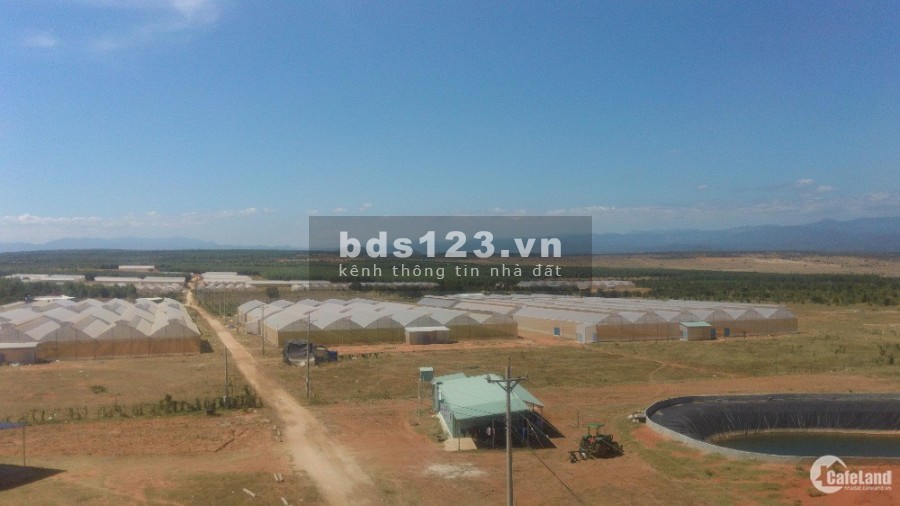 Đất rẻ Bình Thuận chỉ 70k/m2 đầu tư đón đầu hạ tầng. Các đợt tăng giá với biên độ lớn cho nhà đầu tư trung hạn
