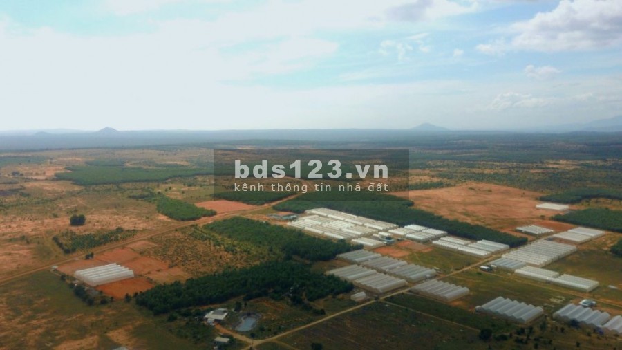 Đất rẻ Bình Thuận chỉ 70k/m2 đầu tư đón đầu hạ tầng. Các đợt tăng giá với biên độ lớn cho nhà đầu tư trung hạn