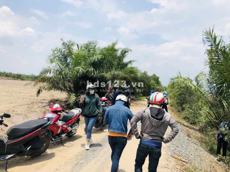 Đất nền thổ cư 100% gần KCN Đức Hòa SHR DT 100m2 giá 1 tỷ 7