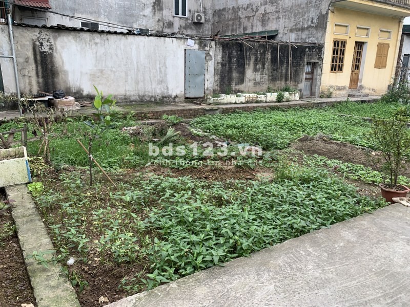 Cần bán 52m2 đất Làng Vàng, Cổ Bi, gần đường ô tô tránh, ngõ ô tô nhỏ vào được