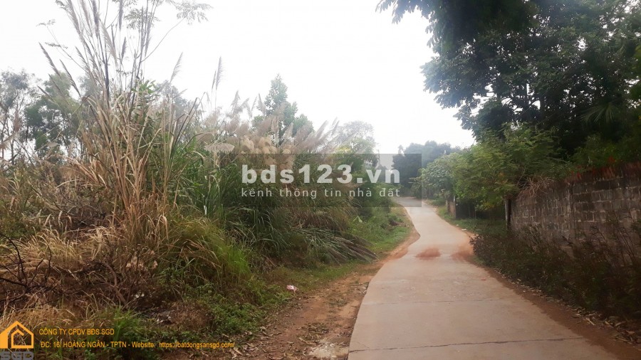 Mảnh đất 4 mặt tiền gần cầu vượt Tân Lập, Thịnh Đán