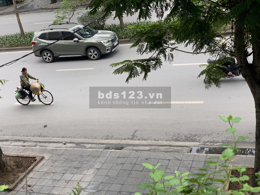 Nhà mặt phố Đào Tấn, VIP Ba Đình, dt 105m2, 3 tầng, 6.1m MT, 65 tỷ, LH 0839844444