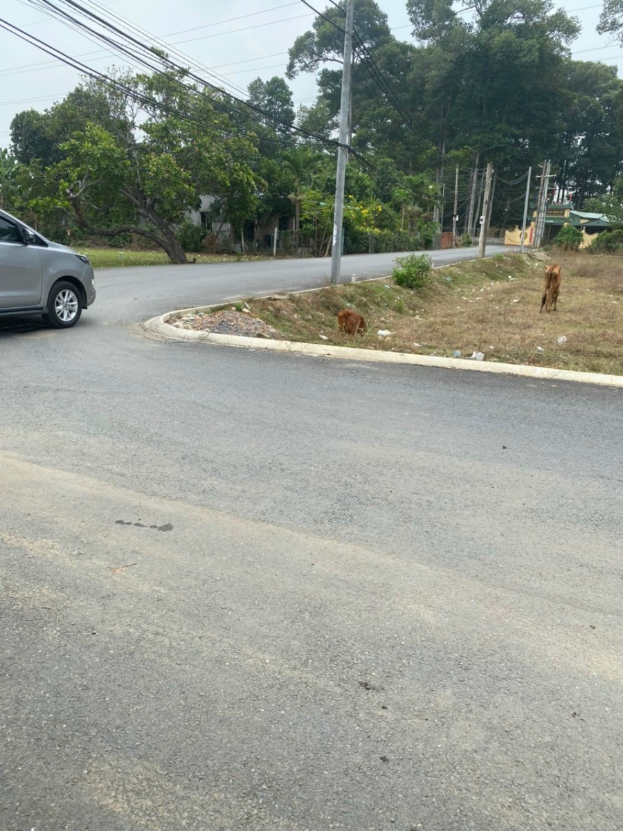 Đất cù lao Hiệp Hòa, dành cho nhà đầu tư thông thái, sổ sẵn công chứng sang tên trong ngày